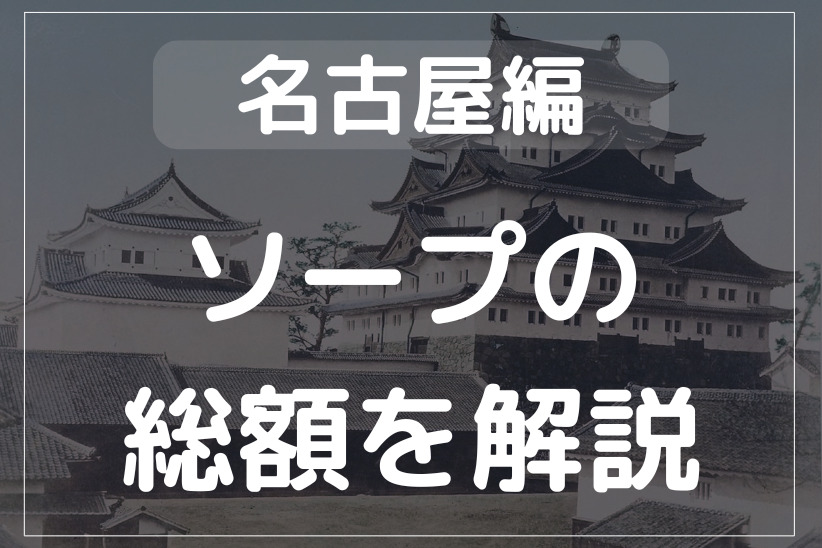 名古屋のソープの総額を徹底解説！安く遊べるお店を比較して探せる！ - 風俗おすすめ人気店情報