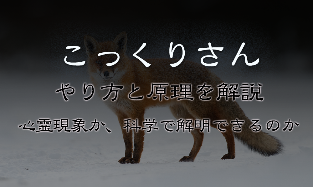 シャドーボクシングのやり方初級編🥊 元K-1日本王者の小比類巻が分かりやすくポイント解説。