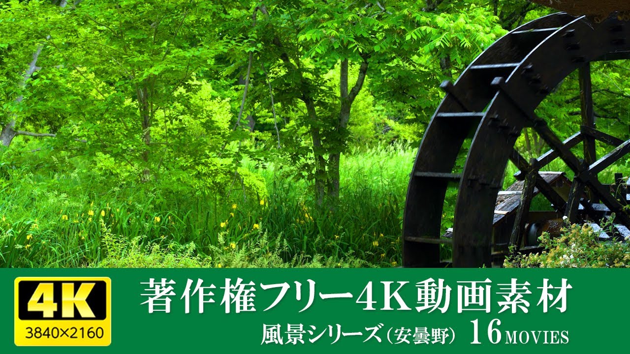 無料・商用OK フリー動画素材サイト7選 - eラーニング・デジタル教材制作のエレファンキューブ