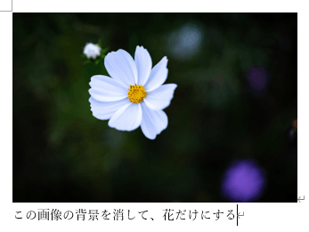 Word 画像の背景を透過にする方法不要な背景を削除する手順