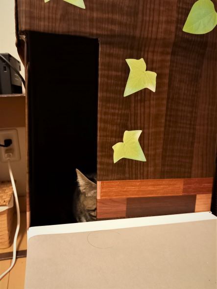 ダンボールのキャットタワーのおすすめ人気ランキング 2025年マイベスト