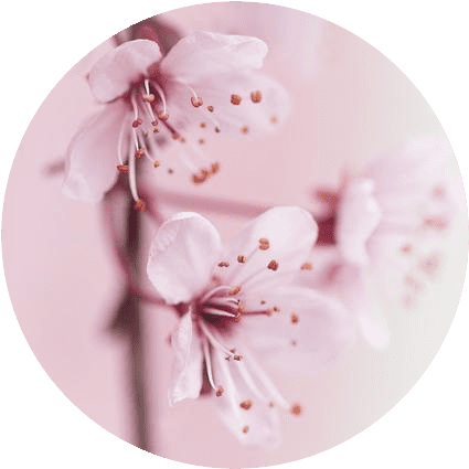 LINEグループのアイコン 背景 を設定・変更する方法アプリオ