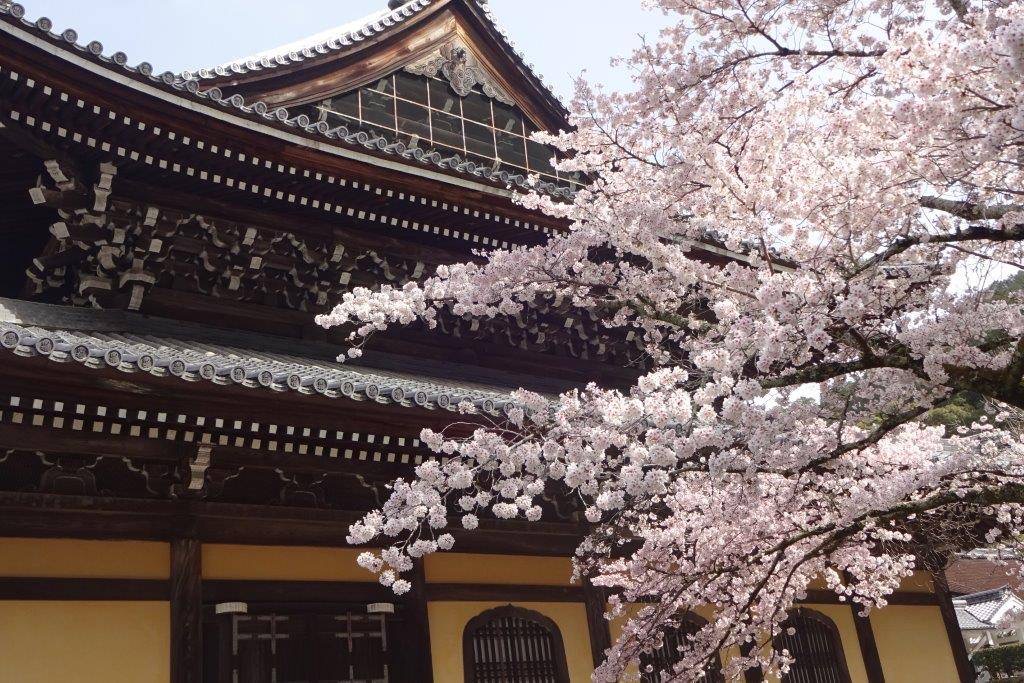 スカウトゆうり【祇園会員制ラウンジ特化】キャバクラ/ラウンジ/クラブ/京都/木屋町/祇園/北新地 on X: