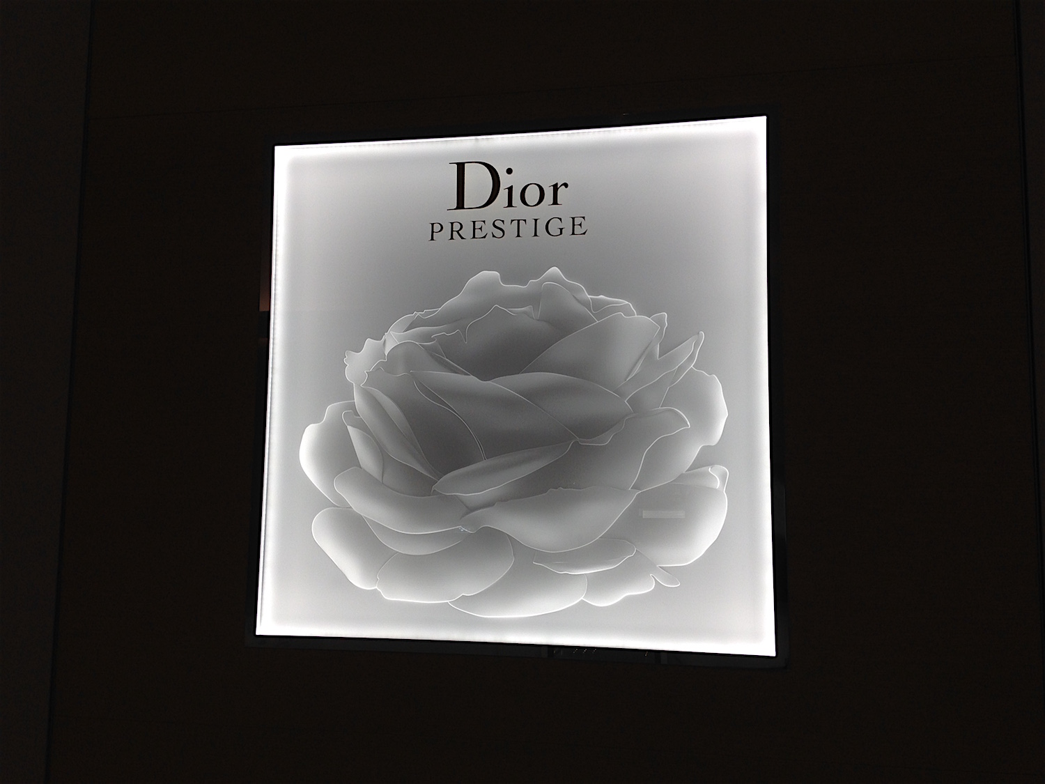 DIOR 聖水｜聖水洞・ソウルの森(ソウル)のショッピング店｜韓国旅行「コネスト」