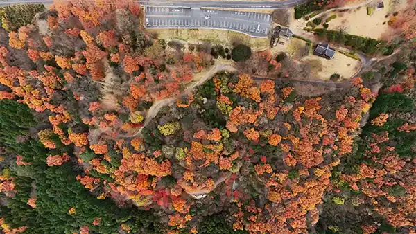 【おすすめ低山】4K 小町山 癒しの沢♪ もみじ谷の紅葉♪朝日峠展望公園からの絶景！茨城県土浦市