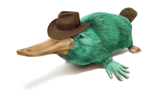 高品質のペリー カモノハシ フル、カモノハシ ペリー 高画質の壁紙Pxfuel