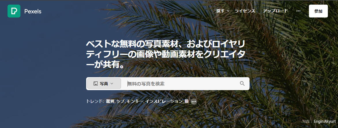 無料で使えるプロフィールムービー素材nonnofilm