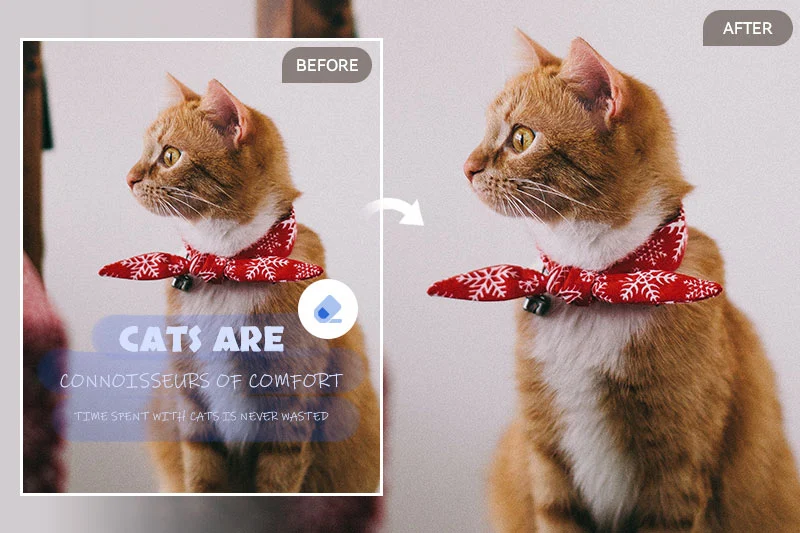 2025年最新版 画像・写真の文字を消す方法とおすすめアプリ３選