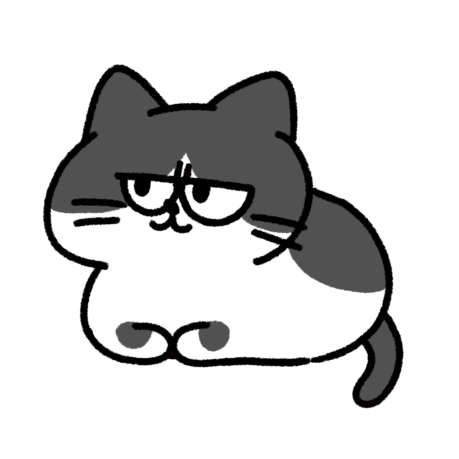 白背景に黒胡麻の写真素材FYI07983150ストックフォトの Qlean Market キュリンマーケット