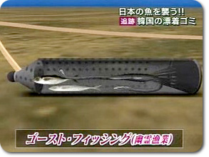 ウナギとアナゴの違いumito.®