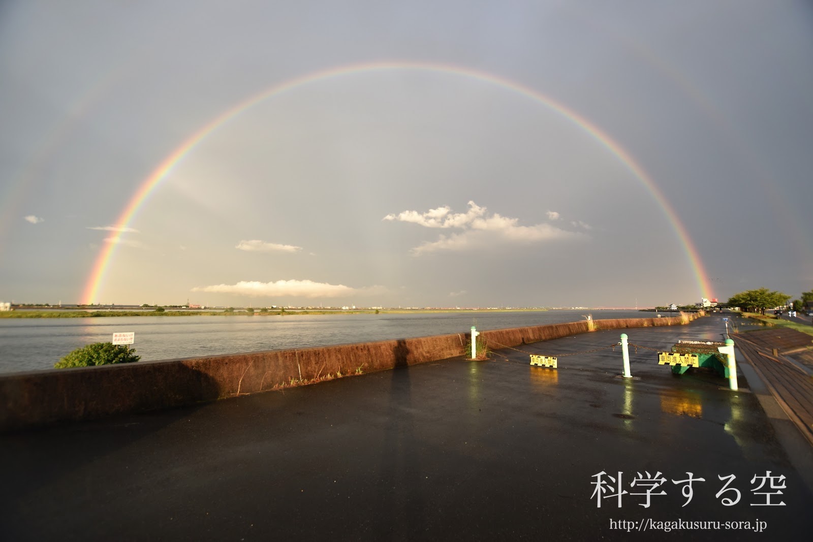 三重県民の森 - 今日はよく降りました。 夕暮れ迫る県民の森から綺麗な虹が見られました。 |