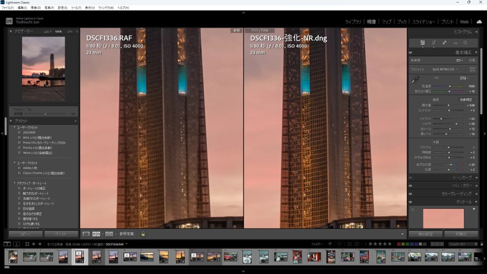 LightroomAIを活用した新しいノイズ除去機能が凄い 使い方と効果についてCameRife