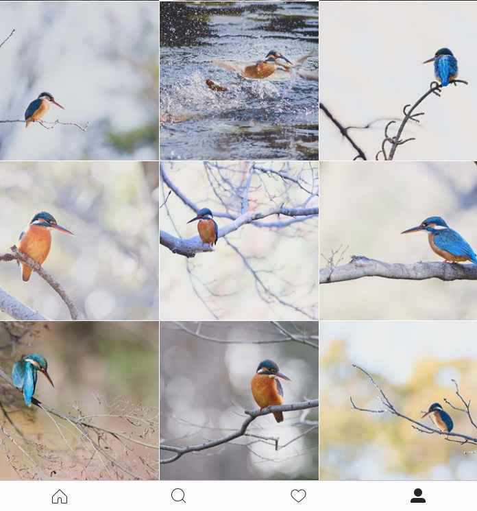 Twitter 縦長サムネ実装! その比率は? どれくらい縦長でも表示されるか検証してみた。AppBank