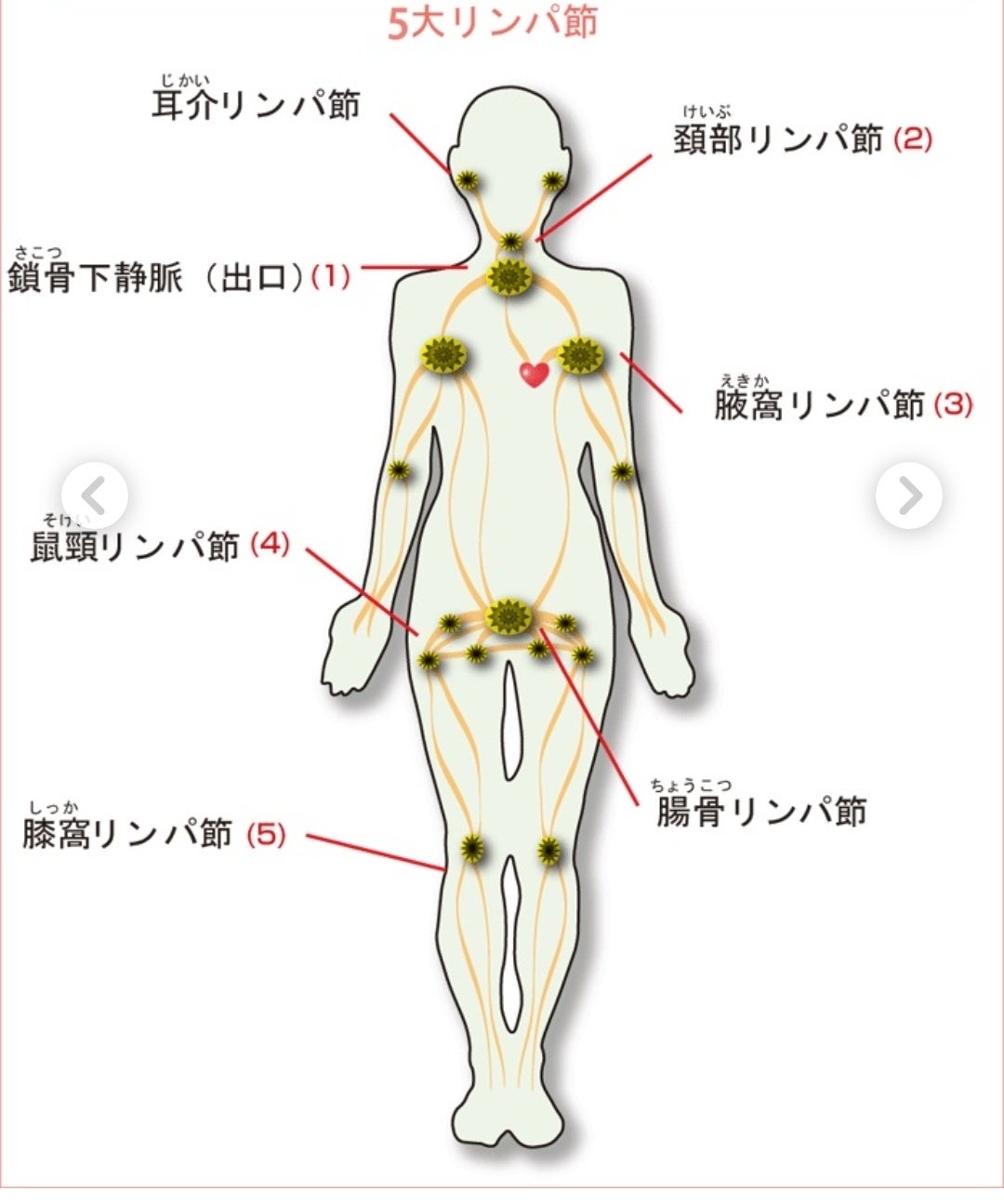 メンズにおすすめ】東京都内の人気リンパマッサージ&ドレナージュ4選｜マチしる東京