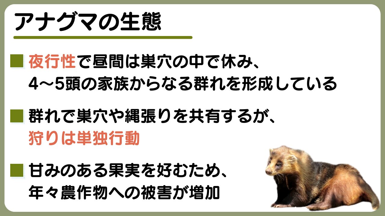 ワンヘルス・アプローチに基づく人獣共通感染症対策｜厚生労働省