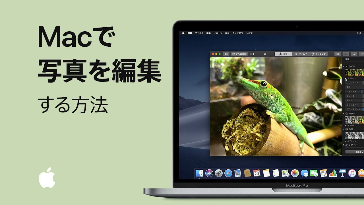 2025年版 Mac向けの写真編集ソフト8選