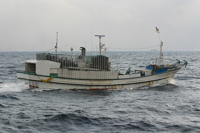 楽天市場 あなご筒・はも筒・あなご胴かご・はも胴かご中サイズ: せんぐ屋 楽天市場店
