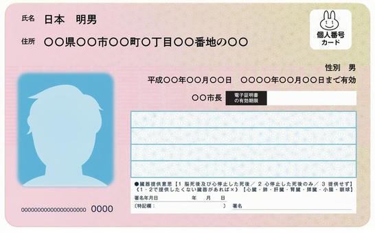 マイナンバーカードの顔写真をスマホで撮影するコツは？ プロカメラマンに聞いたスタッフブログマイネ王