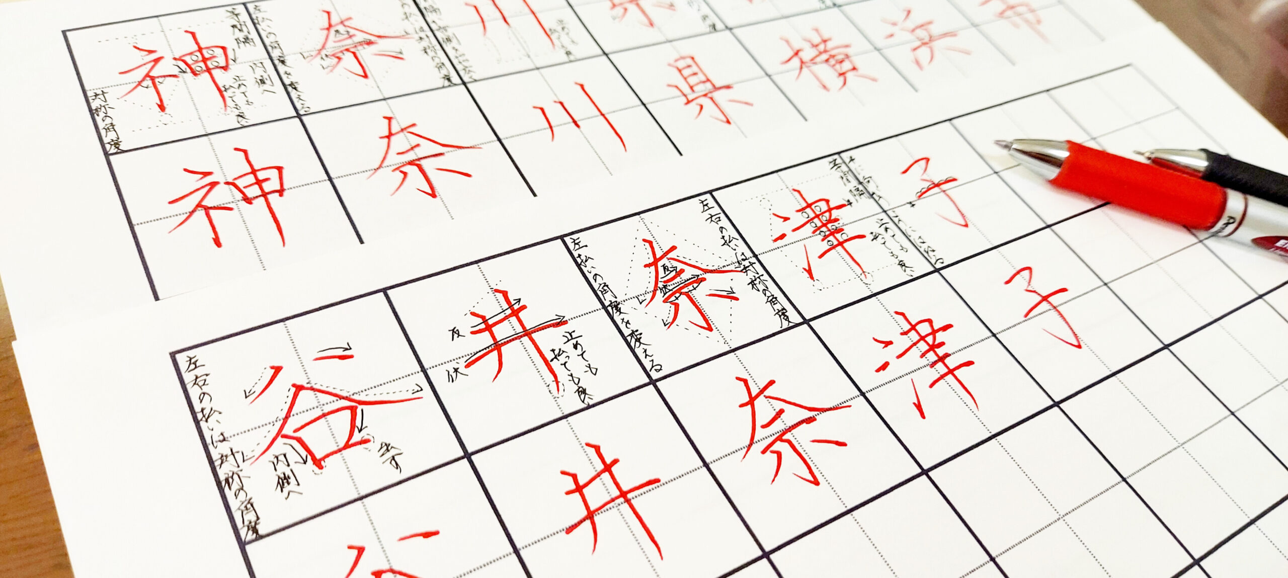 白妙2022 モリサワ新書体株式会社モリサワ