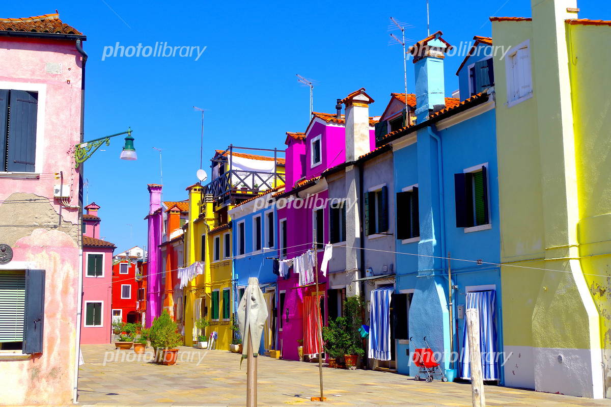 カラフルな花 - No: 22523436写真素材なら「写真AC」無料 フリー ダウンロードOK