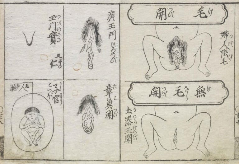 春画ってなに ? 教養として知りたい「春画」の世界。秘め事のエンタメ表現史 |