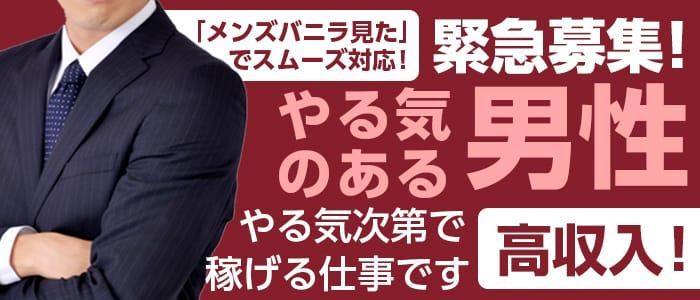 安城/刈谷/知立/西尾 送りドライバー求人【ポケパラスタッフ求人】