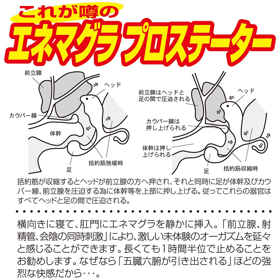 エネマグラ系アナル開発 : ONLINE SHOP