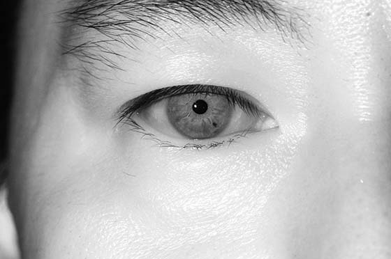 赤外線カメラでの写真撮影を承りました筆跡鑑定なら田村鑑定調査