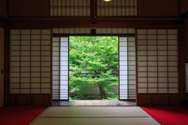 初心者向け 写真撮影のコツ教えます！第4弾「シンメトリー 2分割 構図」映像制作九州・福岡ピークスマインド