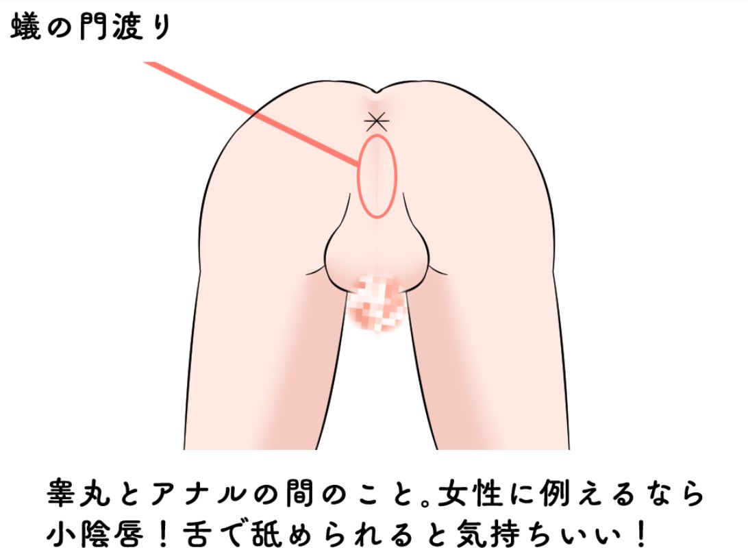 アナル舌入れプレイの気持ちいいやり方！顔全体で舐めるのがコツ