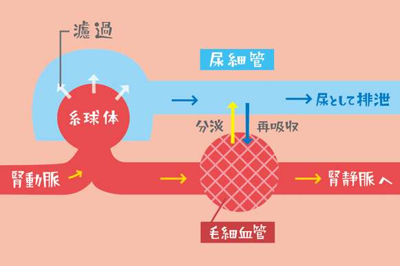 楽天市場 濾過 濾過装置 濾過フィルター 水槽 浄化生物 水換え 濾過器 水 濾過材 濾過マット 濾過機 ろ過装置 ろ過 小型 熱帯魚 インテリア清掃 清潔 フィルター 植物 ろ材お魚天国 バイオキューブ: ヴィヴィアン マルシェ