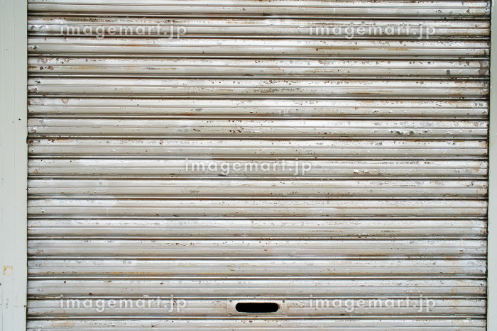 shutterstock 無料じゃない!?有料プラン変更前の確認ポイントを徹底解説!ウェブライターの面白い未来