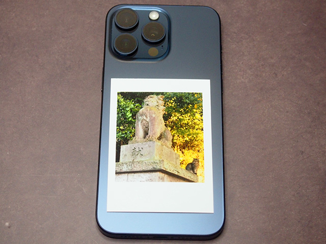 飼ってますステッカー 両生類ミニステッカー スマホステッカー シール 6cm×6cm 両生類グッズ うちの子 petamphibian-st6ペット＆グッズ EVERY