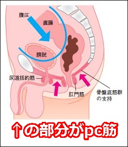 無修正ゲイ動画】ドライオーガズムで身体の痙攣が止まらない…！アネロスを使ったアナルオナニーで制御不能なメスイキを繰り返す素人！ | 無料ゲイ動画イケメンポルノ  |