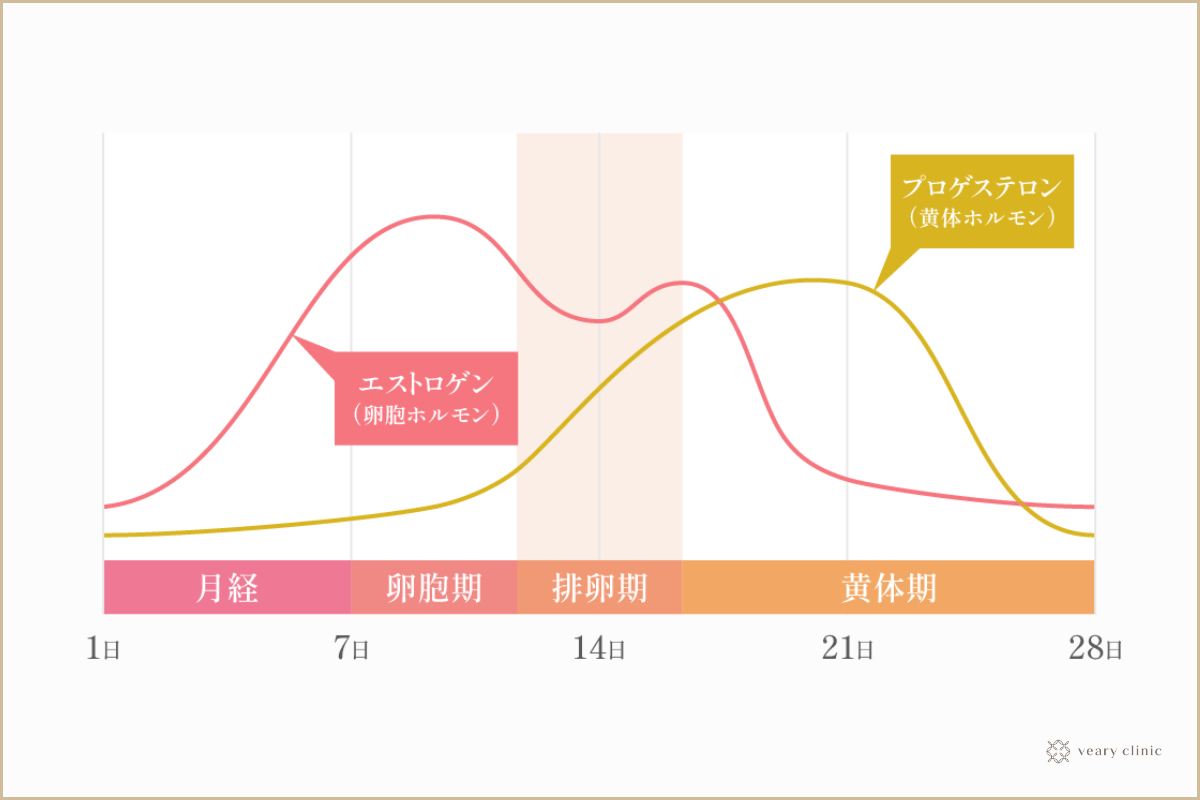 欲求不満を改善する,解消する方法,女性,男性の性欲の問題-ダイコミュ人間関係