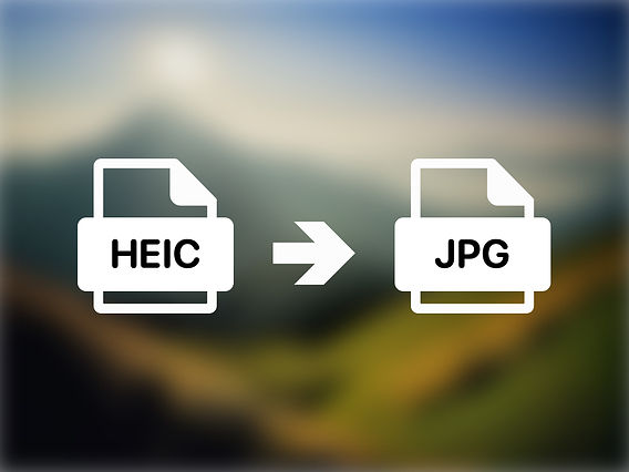 AndroidでHEIC HEIF AVIF形式の写真をJPEGに変換する方法 Googleフォト- TeraDas テラダス