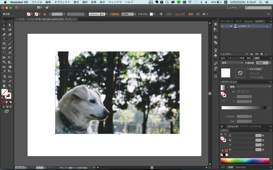 Illustrator イラレで画像を切り抜く色んな方法を解説トリミングとクリッピングマスクデザイン事務所 MONO JOURNAL