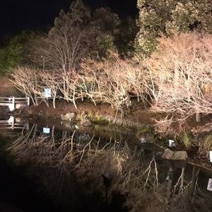 四日市温泉おふろカフェ湯守座でのんびりデート