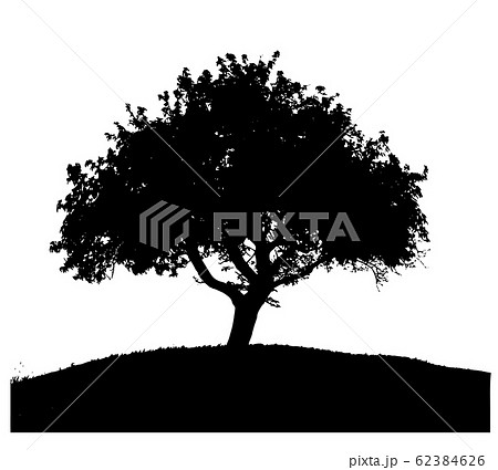 木シルエットイラスト - No: 755373無料イラスト・フリー素材なら「イラストAC」