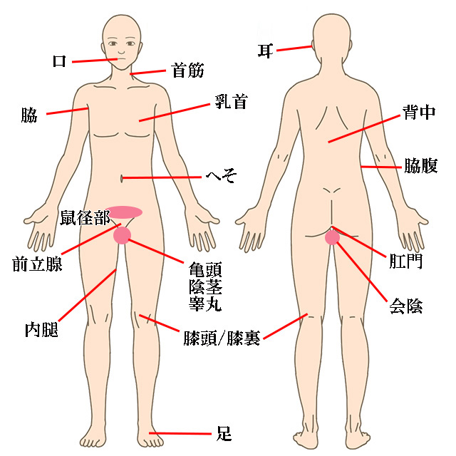 DVD「陸上部の大好きなスレンダーポニテ彼女が 最低なゲス先輩に性感帯をシゴキ開発されて肉オナホにされていた一部始終。 永野鈴」作品詳細