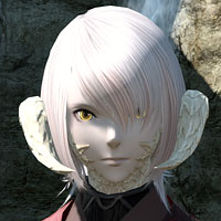 忍者 アイコン」の4万点のロイヤリティフリー画像、写真素材、絵Shutterstock