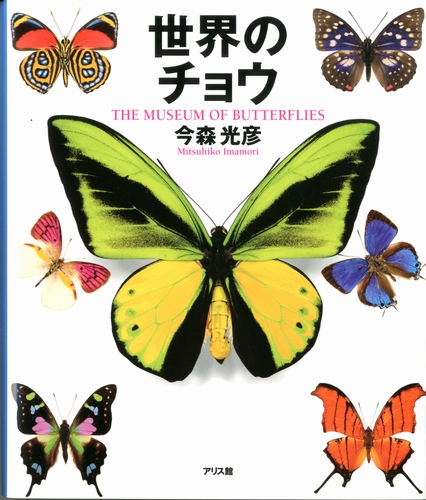 나비（ナビ）の意味「蝶々（ちょうちょう）」ハングル読み方・発音 | 韓国語勉強サイト【レナラン】