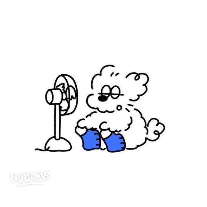 韓国風アイコン画像のおすすめ2025 年のリアルなLemon8ユーザー体験