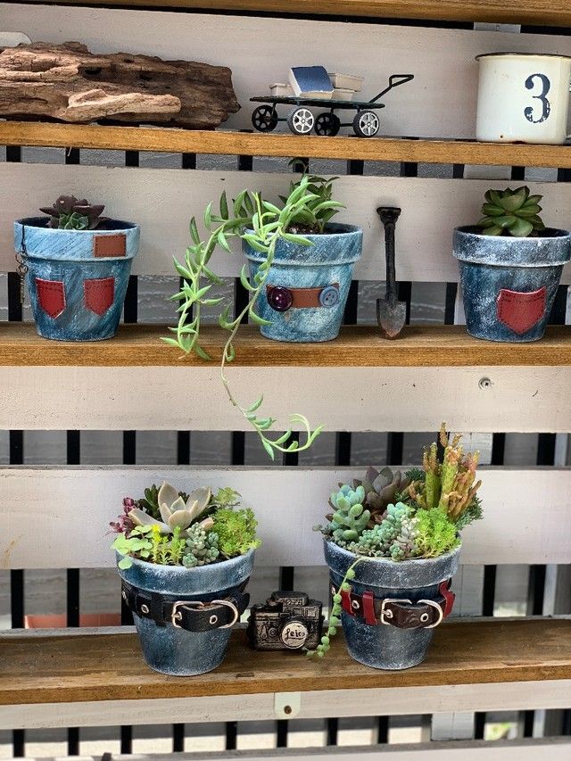 リメイク鉢」のアイデア 16 件鉢, 多肉植物, リメイク缶
