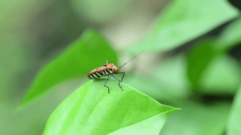 MV PV演出におすすめ✨, テレビや画面がプツンと, 消えるような演出方法を解説👩‍💻👨‍💻, 動画編集者さんなら一度は見たことある,プツン！と消える演出をFilmora で再現🤍,FilmoraWondershareフィモーラ動画編集,動画編集してる人と繋がりたい動画クリエイター,動画編集アプリエフェクトpvmv