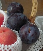 Lize血統 アガベチタノタ スペード 黒桃 子株 アガベ チタノタ 黒桃Agave titanota 'Spade'1