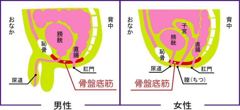 アナル舐めて欲しい..」絶対言えないけど超気持ちいいアナル舐めの話 | 巨乳のセフレが作れる「巨乳セフレ.com」