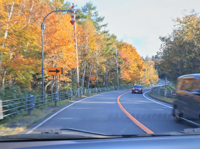 あなたは全部わかりますか？センターラインの種類と役割について廃車買取のおもいでガレージ