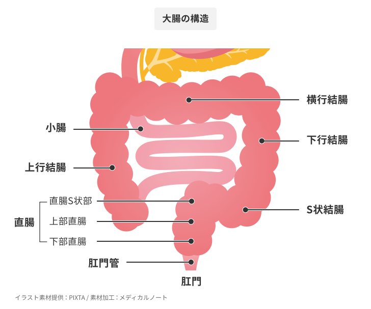 Ｓ状結腸開発調教 １ – アダルト官能小説 快楽機姦研究所