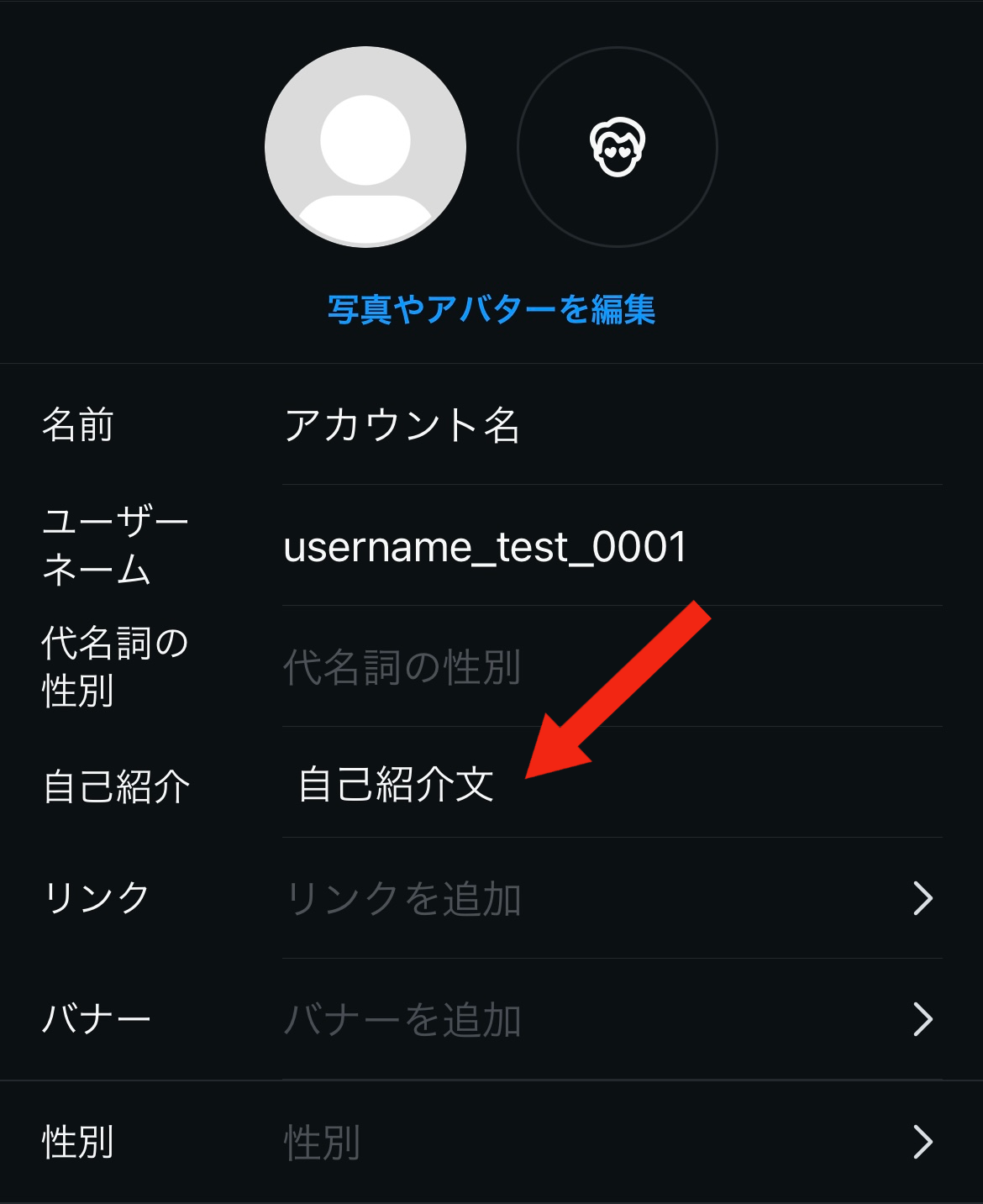 インスタ風プロフィールブック 手作りテンプレート・プリントパック入稿方法ARARS